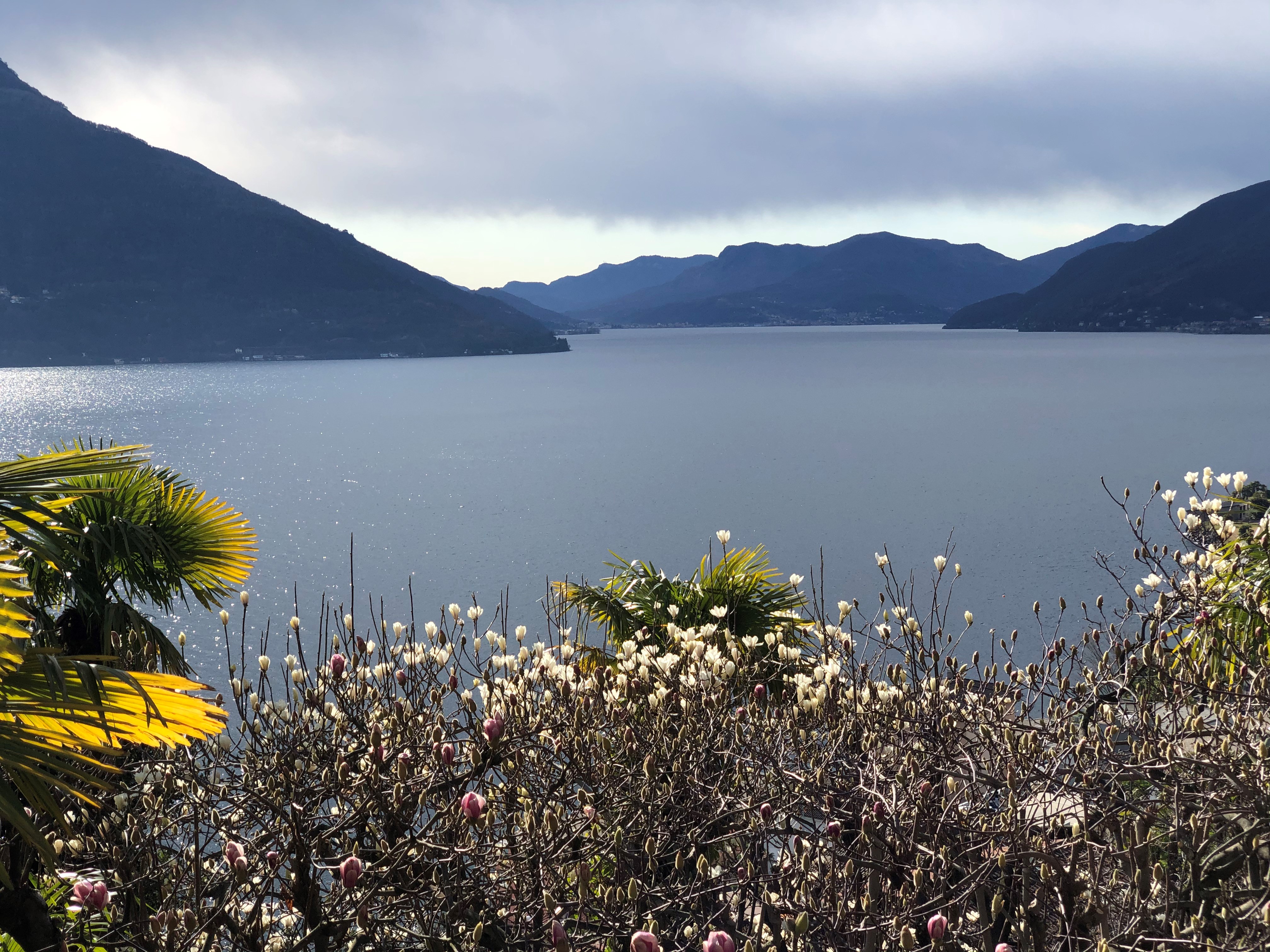 Opening Special - 15% discount March and April