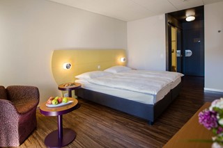park-hotel-brenscino-brissago-rooms-small-modern-double-room_01.jpg