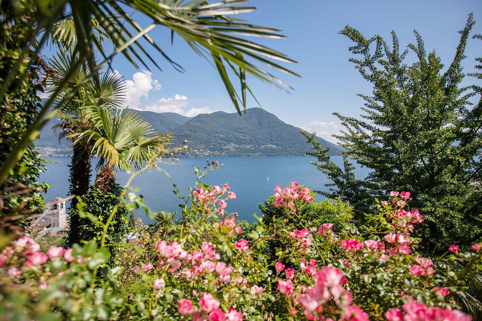 Parco 1920x1380.jpg (1)