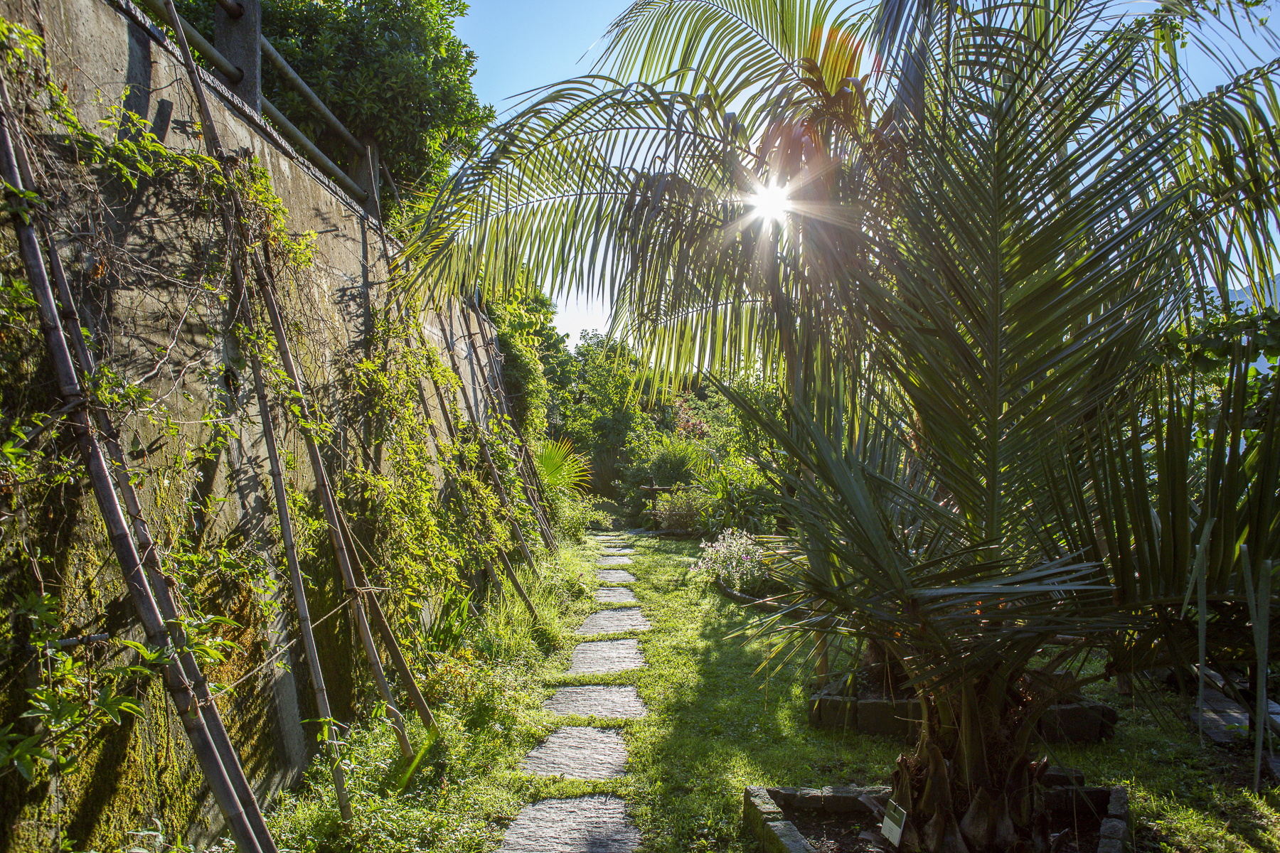 Brenscino_Luglio 21-17.jpg